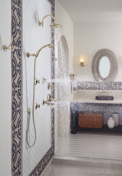 Charlotte Single-Function Wall Mount Hand Shower Polished Nickel Finish