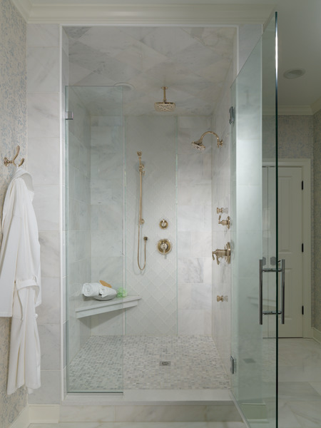 Charlotte Single-Function Wall Mount Hand Shower Polished Nickel Finish