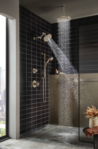 Litze Slide Bar Handshower with HOKinetic Technology Polished Nickel Finish