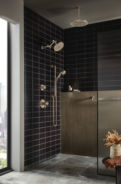 Litze Slide Bar Handshower with HOKinetic Technology Polished Nickel Finish